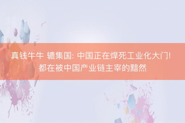 真钱牛牛 辘集国: 中国正在焊死工业化大门! 都在被中国产业链主宰的黯然